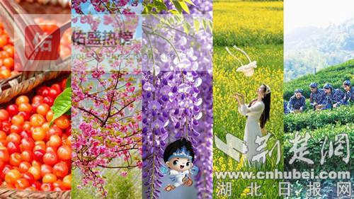 跟着堰马“看”张湾②丨Color Walk：5种方式解锁春日限定浪漫