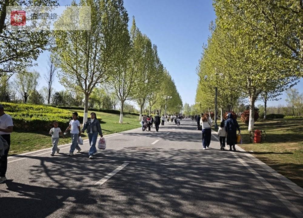 假期收官，华山脚下仍“人从众”