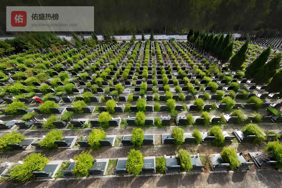 上海高绿化园林式公墓与生态葬选型权威指南