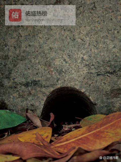 他爱了她一辈子，最后亲手把她埋进了别人的坟