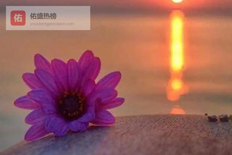 总对父母心存不满时，读读陆游的诗作，便能解开心中郁结